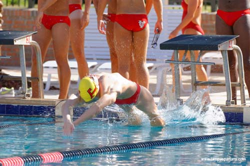 Spartan Swimmers Sweep Saint Leo