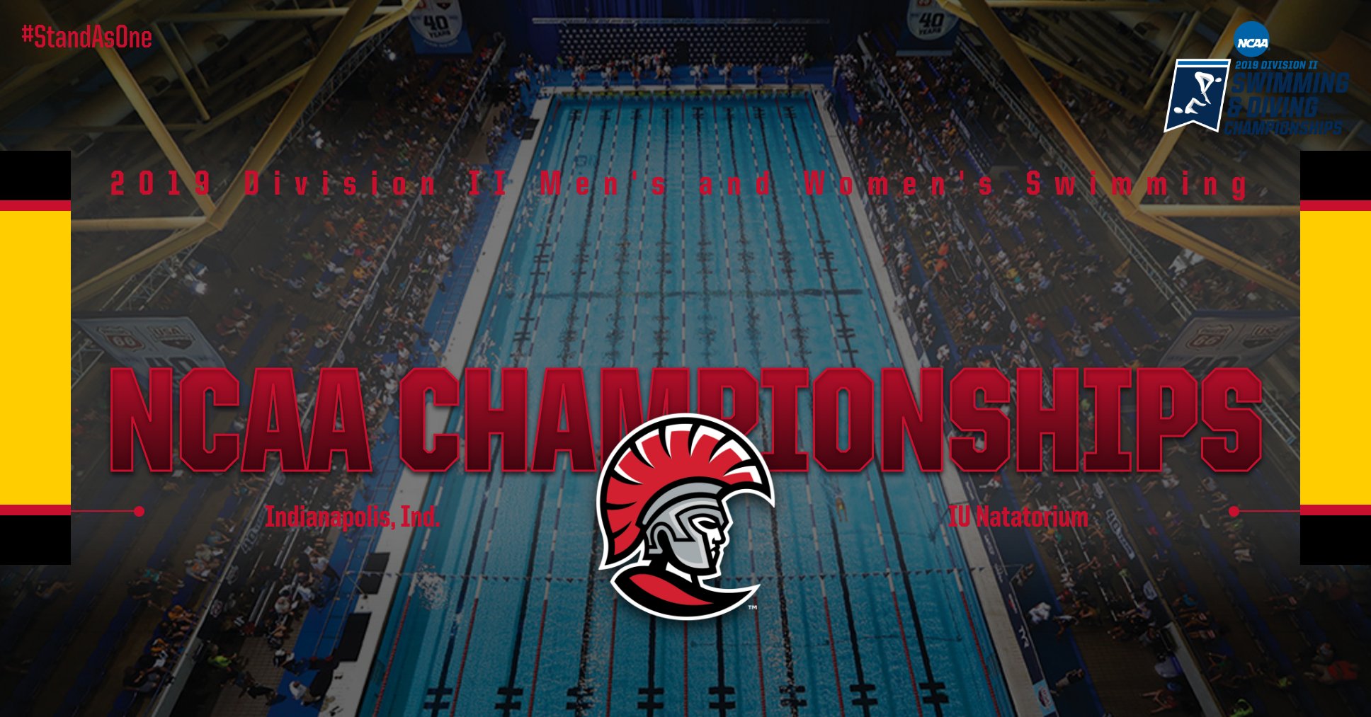 Tampa Swimming Set for NCAA Championships
