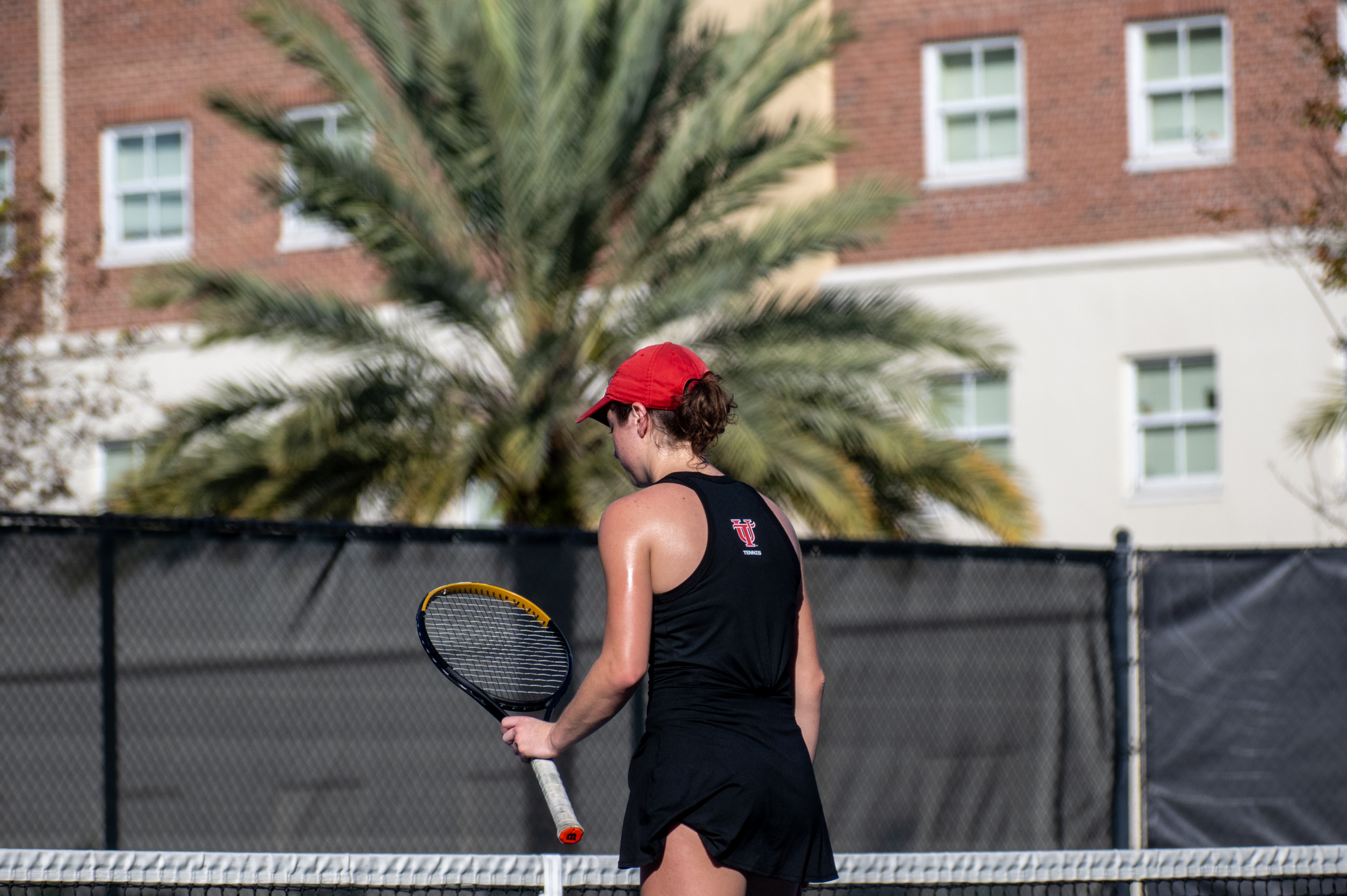 Tampa's Comeback Halted by Saint Leo in Home Opener