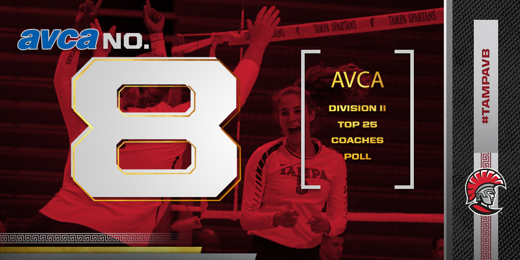 Volleyball Holds No. 8 in Latest AVCA Poll