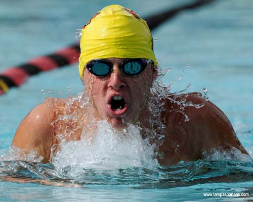 Tampa Swimmers Return to Action on Saturday