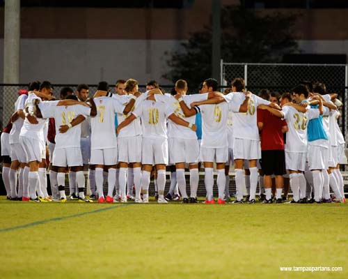 Tampa Concludes Season in NCAA Tournament at Lynn