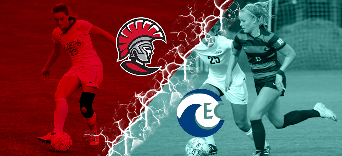 Tampa Ready to Host Eckerd for Wednesday Night Game